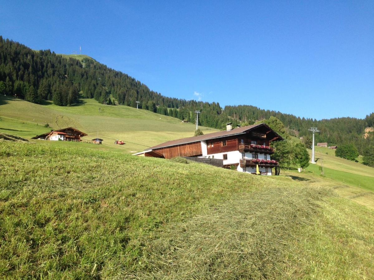 Villa Salvenalm à Hopfgarten im Brixental Extérieur photo