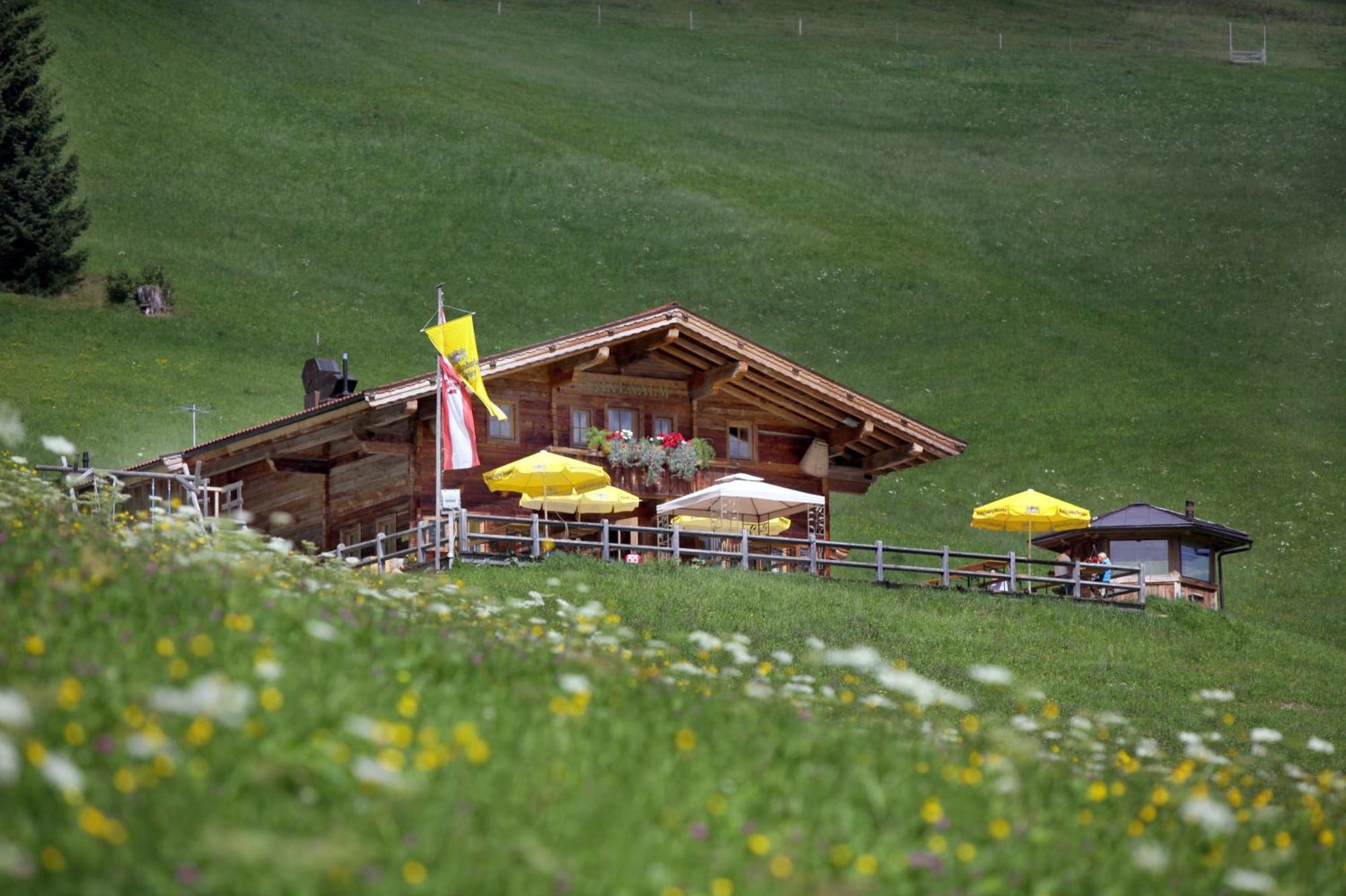 Villa Salvenalm à Hopfgarten im Brixental Extérieur photo